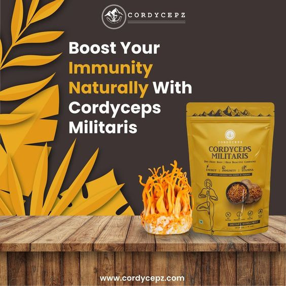 Cordycepz Cure