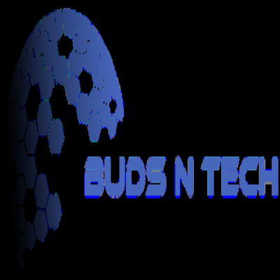 Budsntech Rishiseo