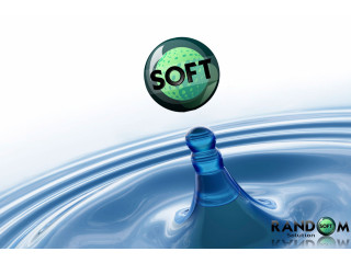 Random Soft Solution, IT Services, IT Consulting Services