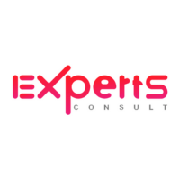 expertsconsult-connecting-brains-creating-future-big-0