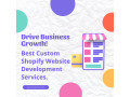 drive-business-growth-with-custom-shopify-website-design-services-small-0