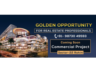 Best properties dealer in Delhi, Commercial properties in Rohini