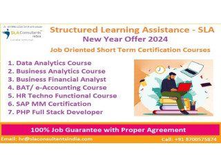 SAP HR Certification Course, [100% Placement, Learn New Skills of '24] by SLA Institute ERP Certification