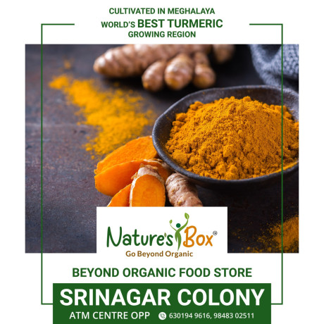 organic-turmeric-powder-big-2