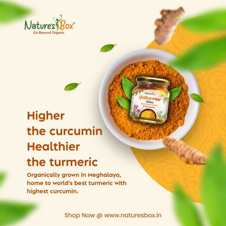 organic-turmeric-powder-big-0