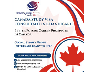 Canada Study visa consultant in Chandigarh