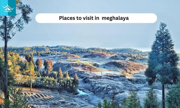 explore-blissful-moments-best-meghalaya-tour-packages-for-family-adventures-big-0