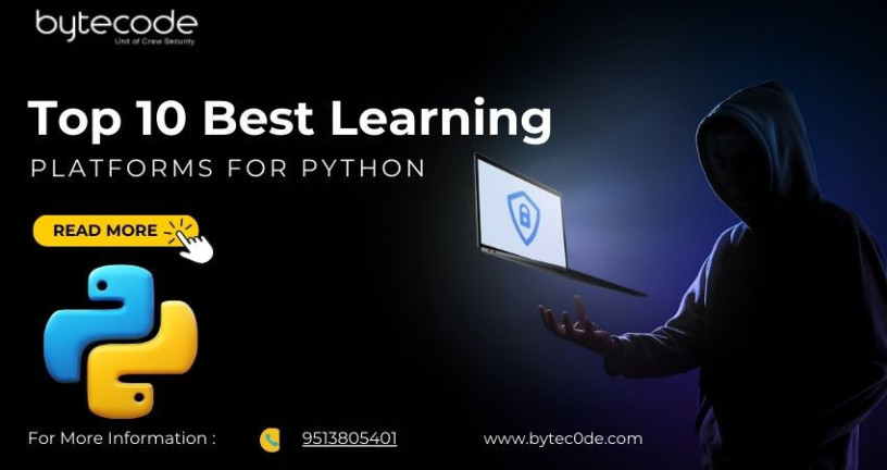 top-10-best-learning-platforms-for-python-big-0