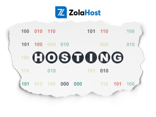 Seo Friendly Web Hosting India - ZolaHost