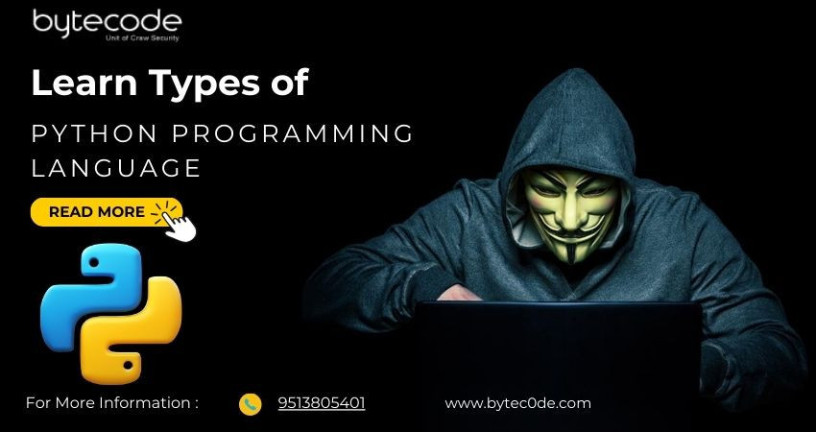 learn-types-of-python-programming-language-big-0