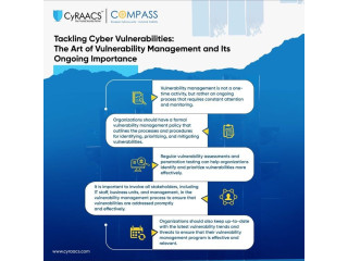 Taking Cyber Vulnerabilities: The Art of Vulnerability Management and its Ongoing Importance