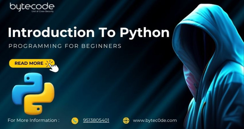 introduction-to-python-programming-for-beginners-big-0