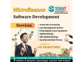 microfinance-software-development-company-in-lucknow-small-0