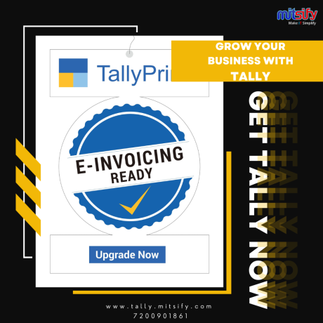 tally-software-sales-and-service-big-0