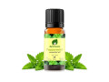 discover-trusted-list-of-menthol-oil-suppliers-in-india-at-tradebrio-small-0