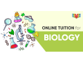 zooming-through-cells-the-marvels-of-online-biology-tuition-small-0