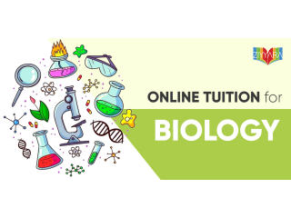 Zooming through cells: The marvels of online biology tuition