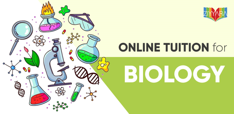 zooming-through-cells-the-marvels-of-online-biology-tuition-big-0