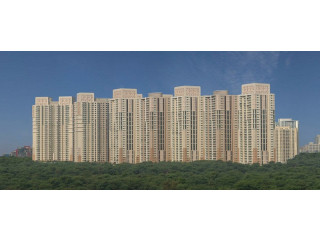 DLF Park Place for Rent Gurugram | Apartment in DLF Park Place Gurgaon