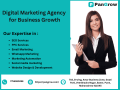 the-top-digital-marketing-agency-in-pune-small-0