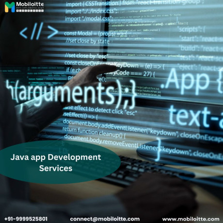 java-app-development-services-big-0