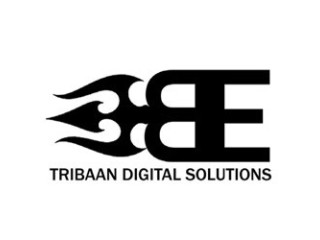 Tribaan Digital solutions - Best Digital Marketing Company in Jaipur | SEO/SMO SERVICE | BRAND CREATION AND PROMOTION