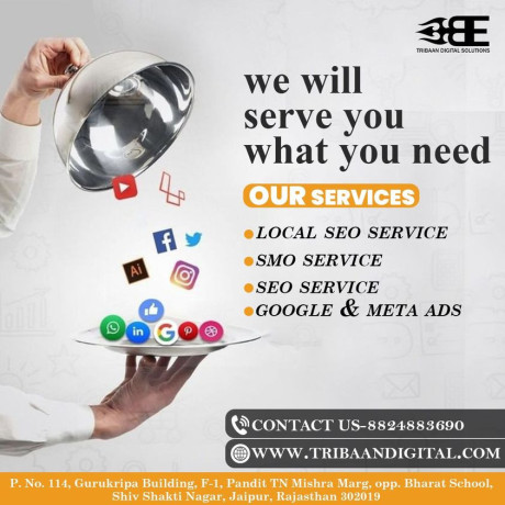 tribaan-digital-solutions-best-digital-marketing-company-in-jaipur-seosmo-service-brand-creation-and-promotion-big-1