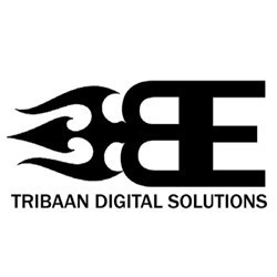 tribaan-digital-solutions-best-digital-marketing-company-in-jaipur-seosmo-service-brand-creation-and-promotion-big-0