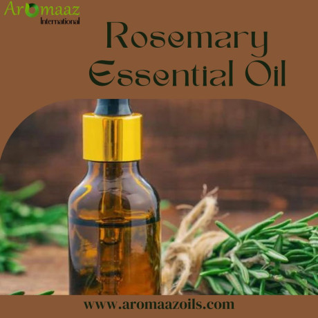 rosemary-essential-oil-manufacturer-in-india-aromaaz-oils-big-0