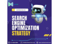 search-engine-optimization-services-in-delhi-small-0