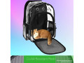 best-airline-pet-dog-cat-carrier-bag-with-cozy-fleece-pet-bed-kika-pets-small-0