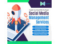 smm-services-in-delhi-smm-social-media-marketing-small-0