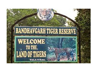 Bandhavgarh safari booking online