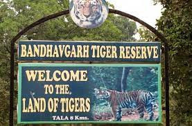 bandhavgarh-safari-booking-online-big-0