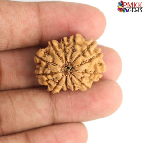 get-12-mukhi-rudraksha-benefits-online-big-0