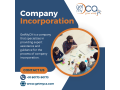 company-incorporation-small-0