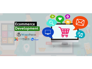 E-Commerce Web Design Company In Noida