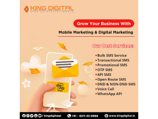 Bulk SMS Provider in Delhi
