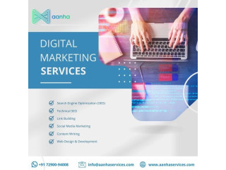 Best Digital Marketing Services in Delhi - Aanha Services