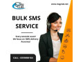 boost-your-marketing-with-our-bulk-sms-service-in-amritsar-small-0