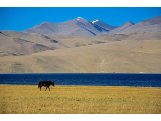 CHEAPEST LADAKH TOUR PACKAGE FROM KOLKATA