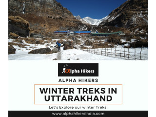 Winter Treks in Uttarakhand offered by Alpha Hikers