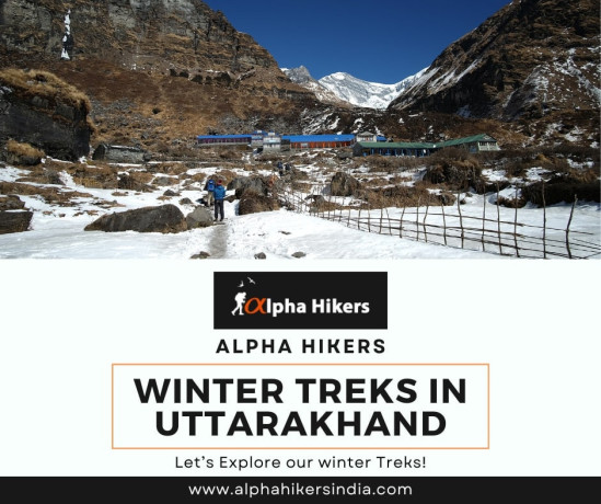 winter-treks-in-uttarakhand-offered-by-alpha-hikers-big-0