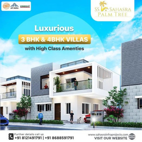 luxury-villas-with-gym-and-swimming-pool-in-kurnool-ss-sahasra-palm-tree-big-0