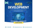 best-website-development-company-in-delhi-ncr-small-0