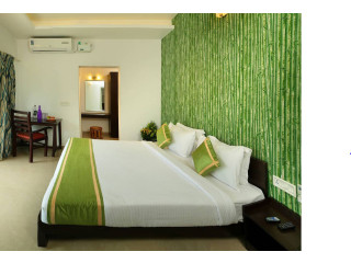 Best Luxury Honeymoon Resort in Munnar