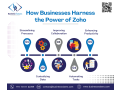 how-businesses-harness-the-power-of-zoho-apps-small-0