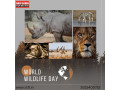 why-should-you-choose-the-best-wildlife-photography-institute-in-india-small-0