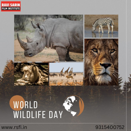 why-should-you-choose-the-best-wildlife-photography-institute-in-india-big-0