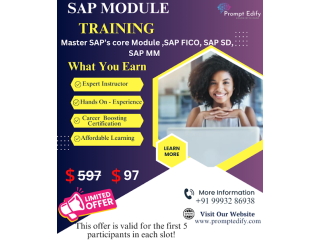 SAP Training In Beginner At $97
